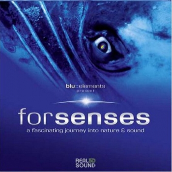 Sony forsenses DTS-HD MA5.1 7.1 Dolby Digital